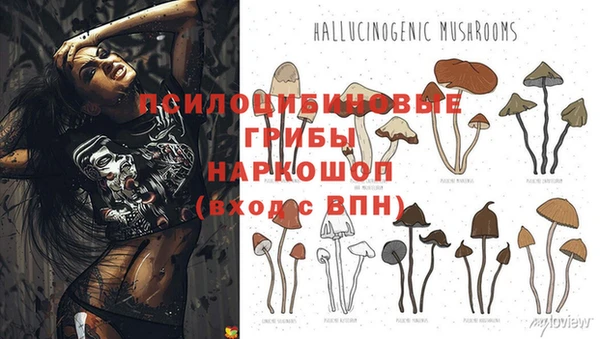не бодяженный Навашино