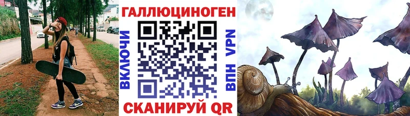нарко площадка наркотические препараты  Щёлково  Псилоцибиновые грибы мицелий 